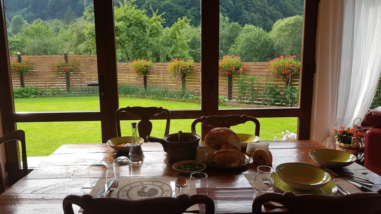 Crivina Sura Lu' Vasile.住宿加早餐旅馆 外观 照片