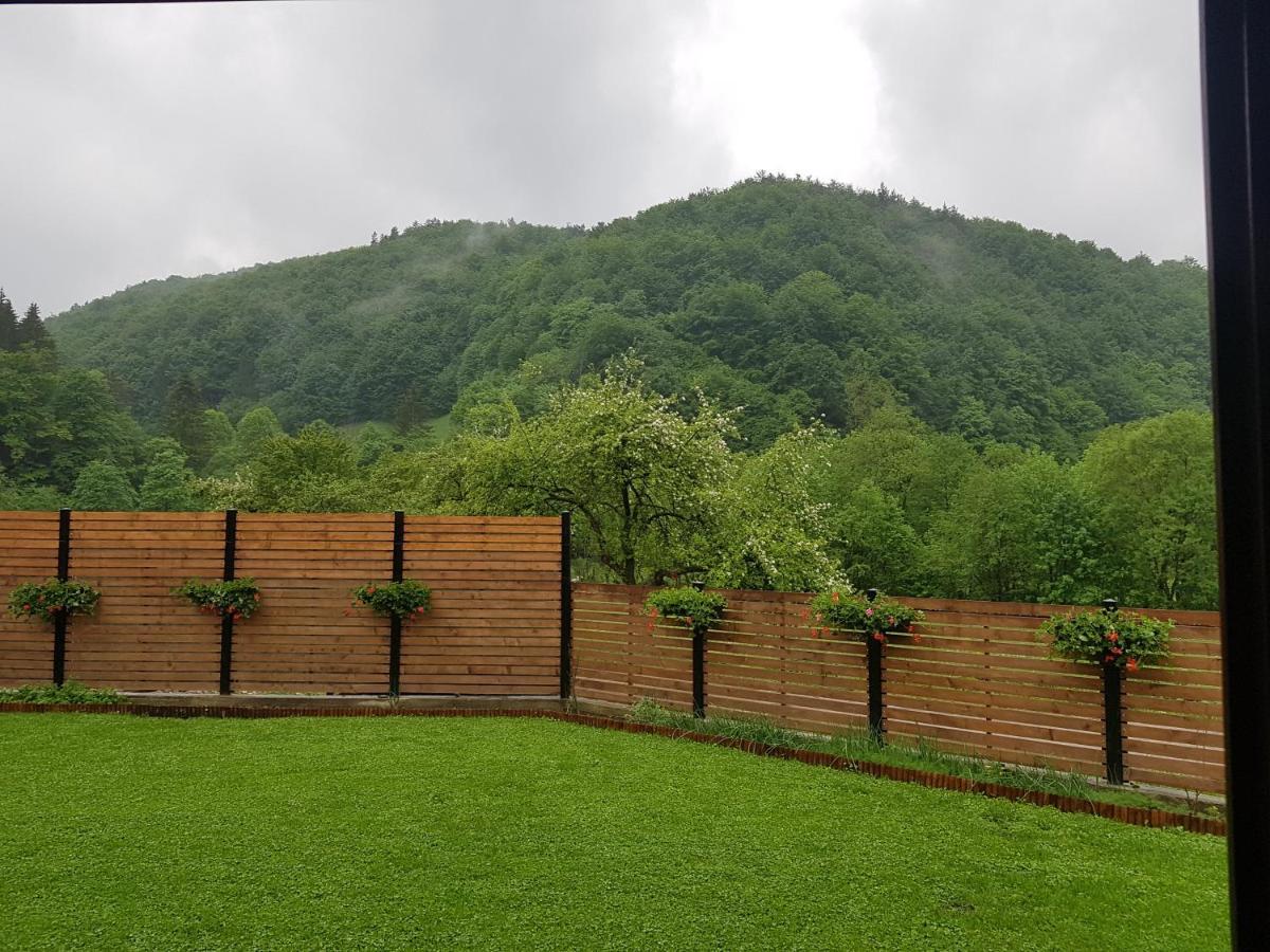 Crivina Sura Lu' Vasile.住宿加早餐旅馆 外观 照片